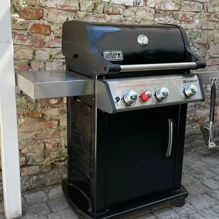 Kapitaenshaus Friedrich Franz - Premium 200 Meter Vom Und Alten Strom 公寓 *